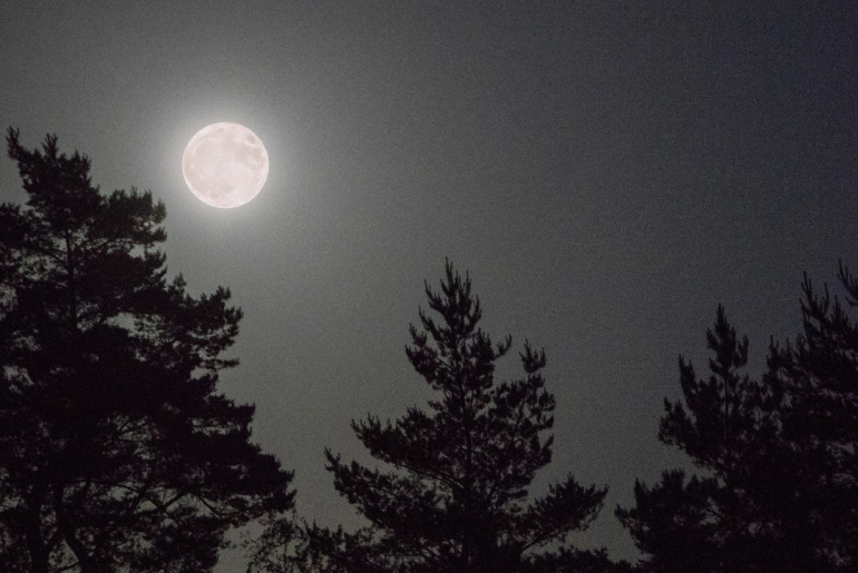 Vollemaan wandelingen